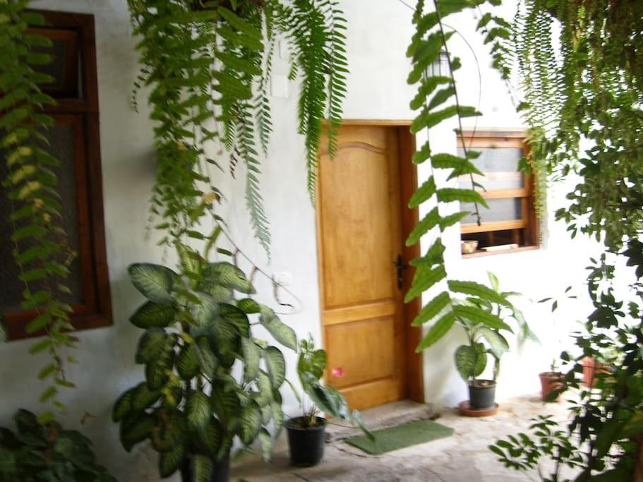 Preciosa Casa Emblematatica, Piscina,Wifi Villa Santa Catalina Dış mekan fotoğraf